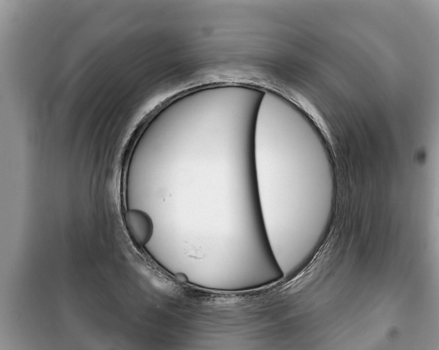X0000100471035200806130750