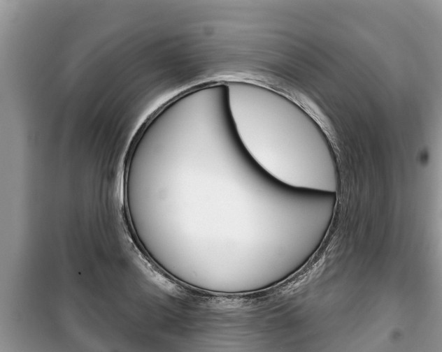 X0000100471036200806130750