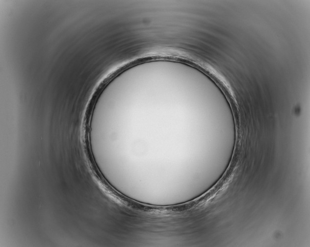 X0000100471037200806130750