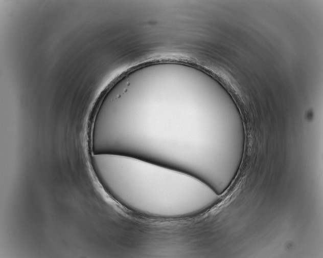 X0000100471038200806130750