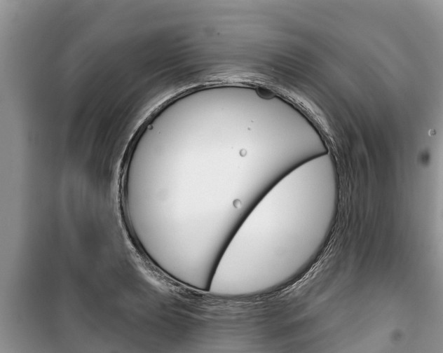 X0000100471039200806130750