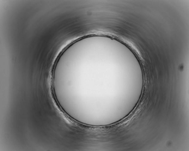 X0000100471040200806130750