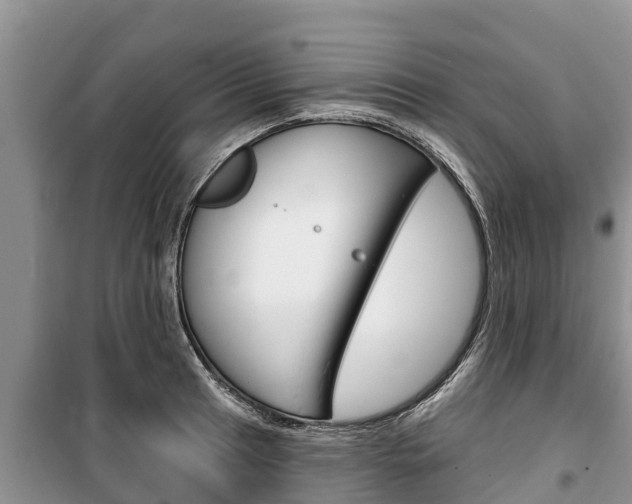 X0000100471041200806130750