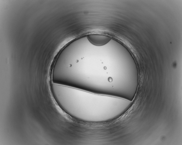 X0000100471042200806130750