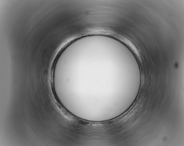 X0000100471043200806130750