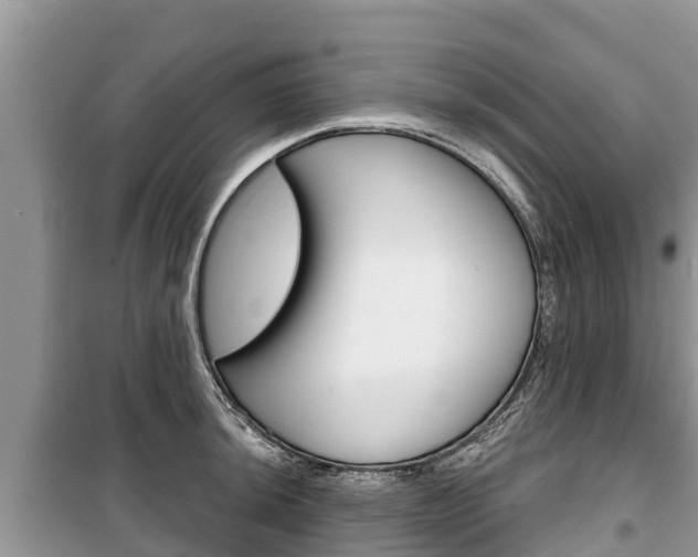 X0000100471044200806130750