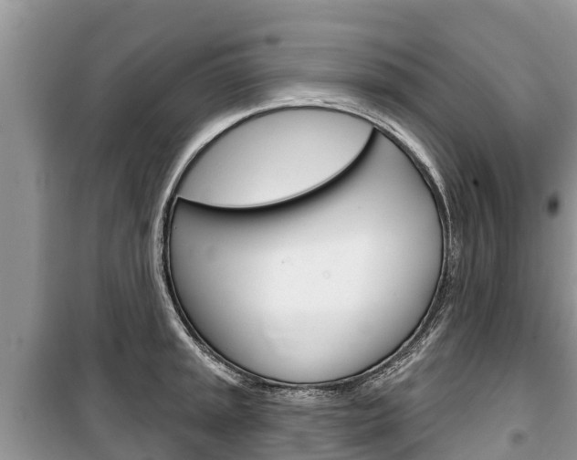 X0000100471045200806130750