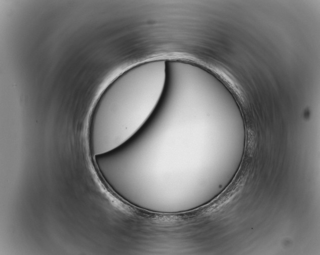 X0000100471046200806130750