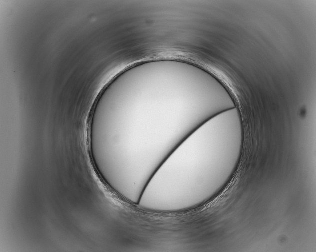 X0000100471047200806130750
