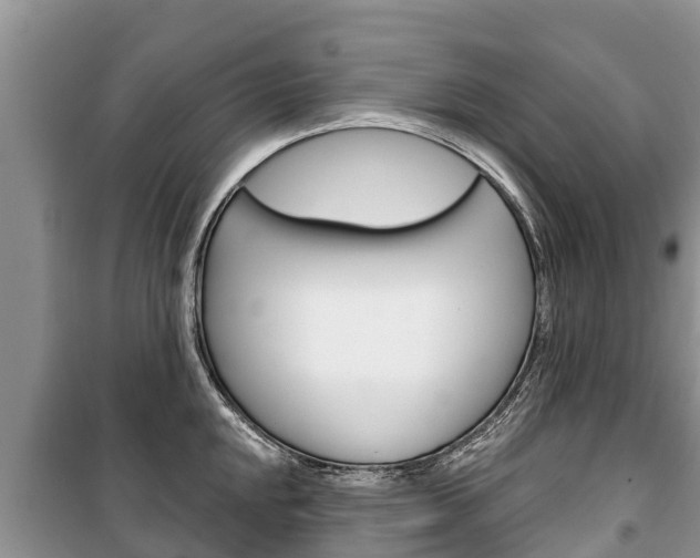 X0000100471048200806130750