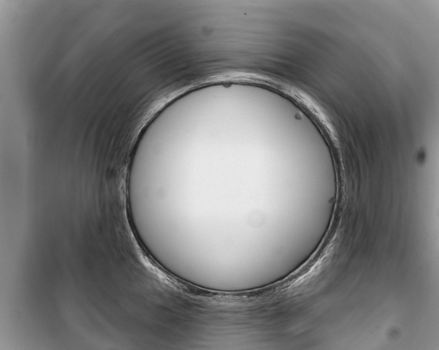 X0000100471049200806130750