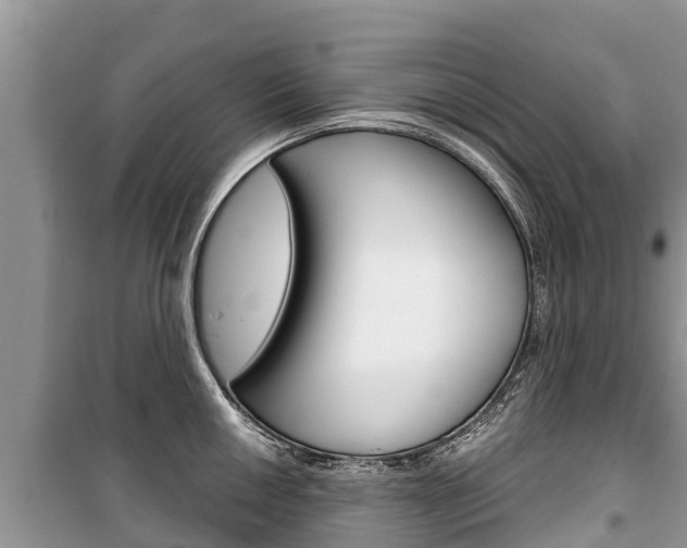 X0000100471050200806130750