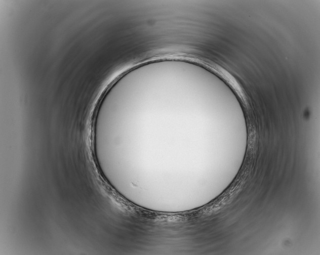 X0000100471051200806130750