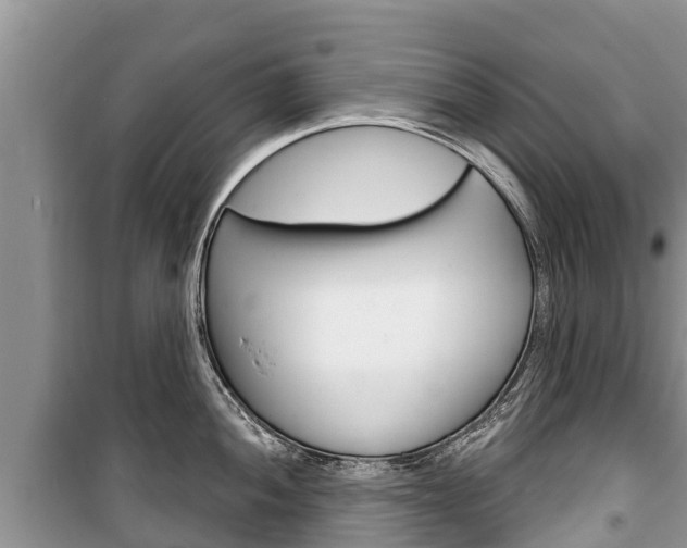 X0000100471052200806130750