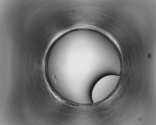 X0000100471053200806130750