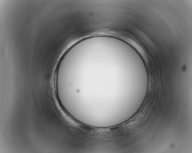 X0000100471055200806130750