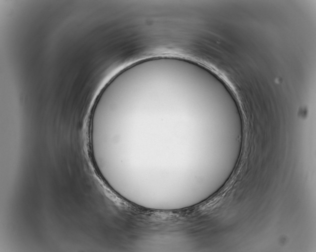 X0000100471056200806130750