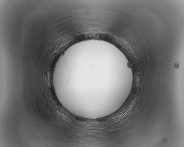 X0000100471060200806130750