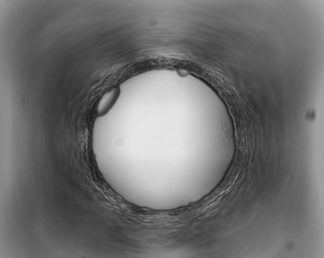 X0000100471061200806130750