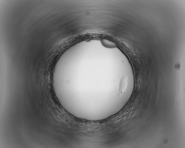 X0000100471062200806130750