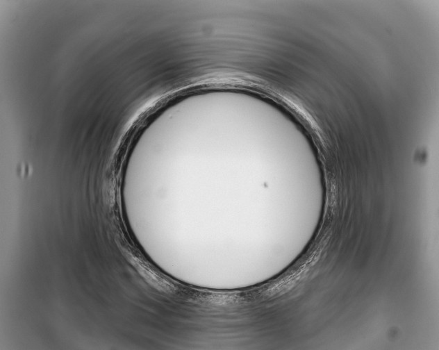 X0000100471067200806130749