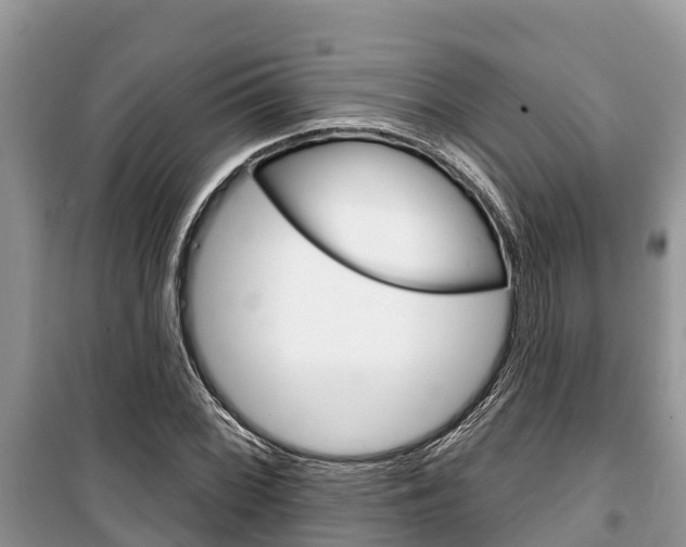 X0000100471068200806130749