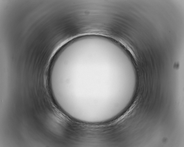 X0000100471069200806130749