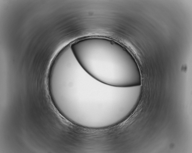 X0000100471072200806130749