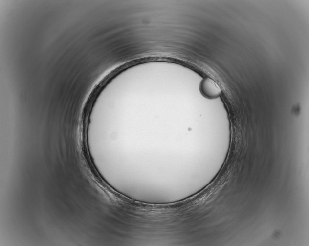 X0000100471076200806130749
