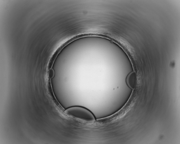 X0000100471077200806130749