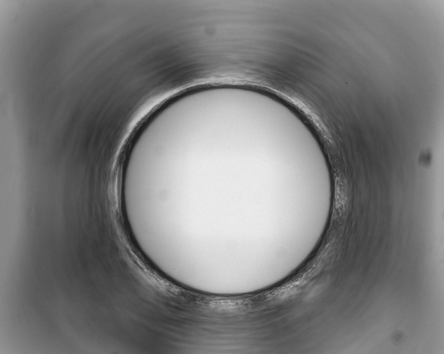 X0000100471078200806130749