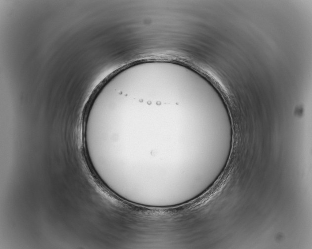 X0000100471079200806130749