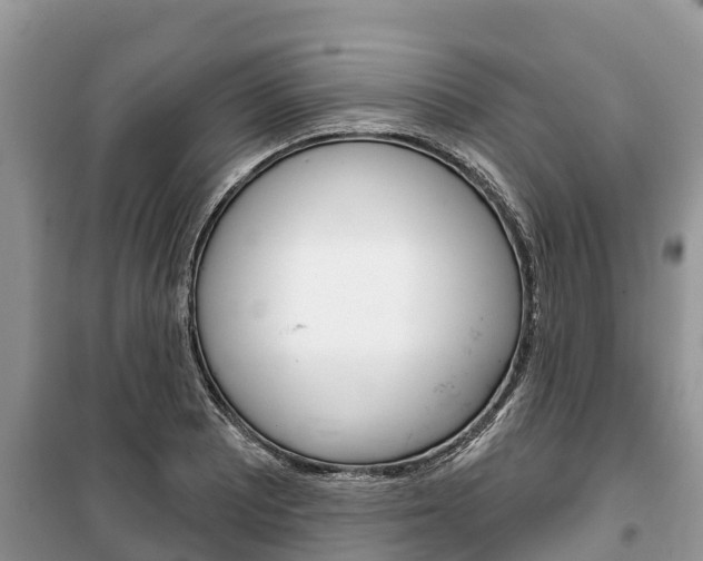 X0000100471081200806130749
