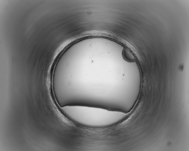 X0000100471082200806130749