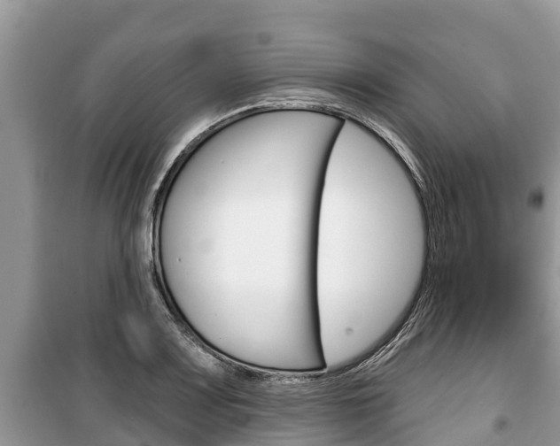 X0000100471083200806130749