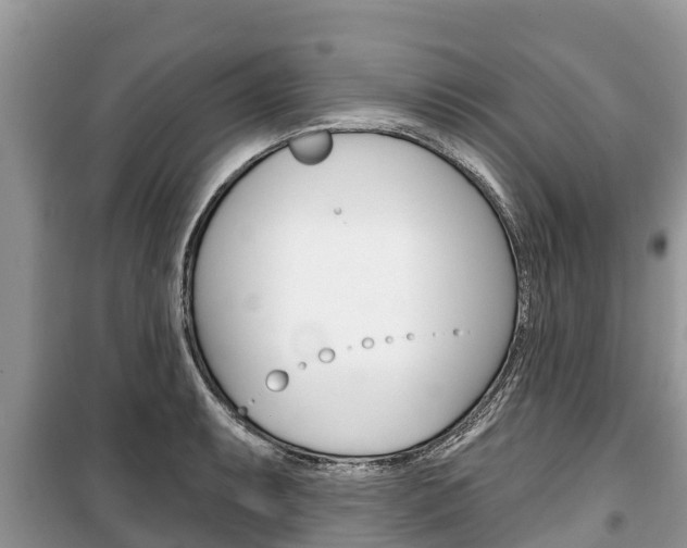 X0000100471087200806130749