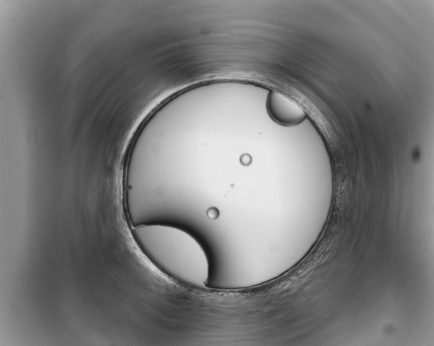 X0000100471092200806130749