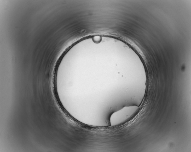 X0000100471093200806130749