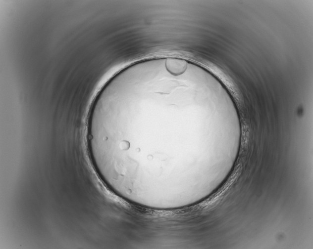 X0000100471094200806130749