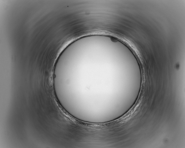 X0000100471097200806130749