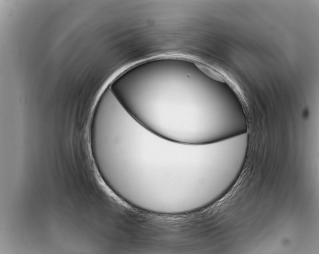 X0000100471100200806130749