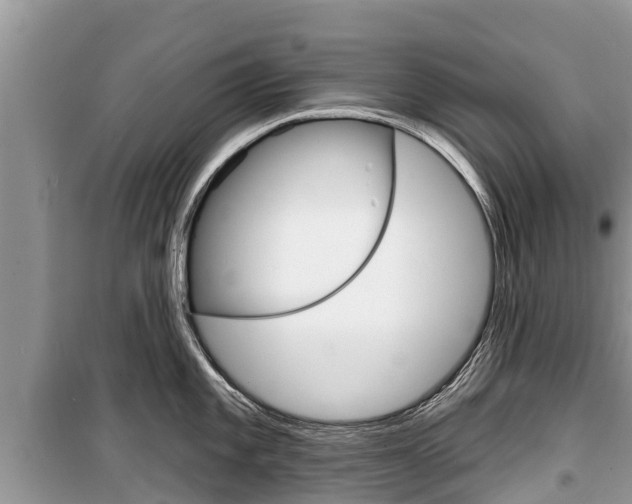 X0000100471101200806130749