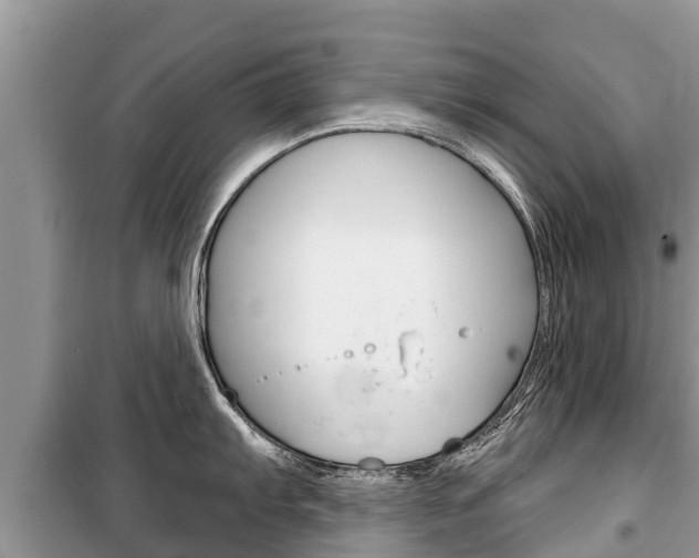 X0000100471103200806130749