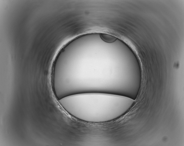X0000100471104200806130749