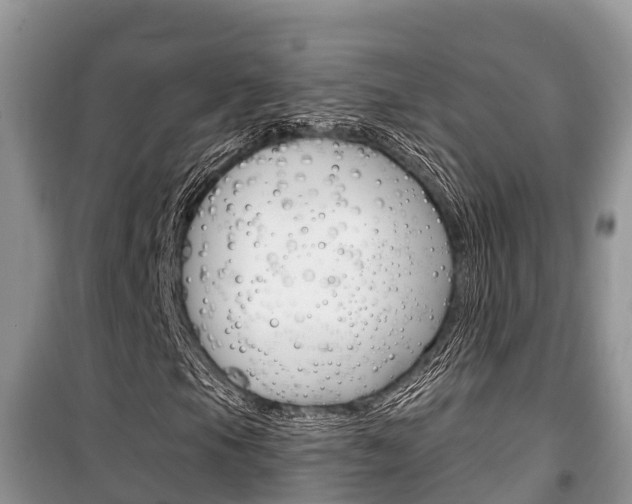 X0000100471105200806130748
