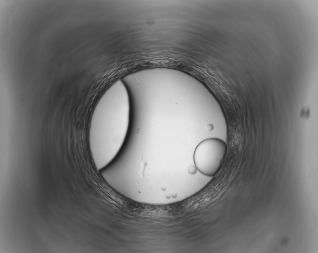 X0000100471106200806130748