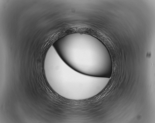 X0000100471108200806130748
