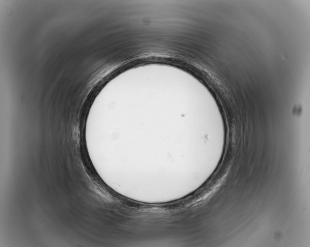 X0000100471113200806130748