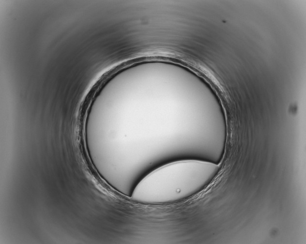 X0000100471116200806130748