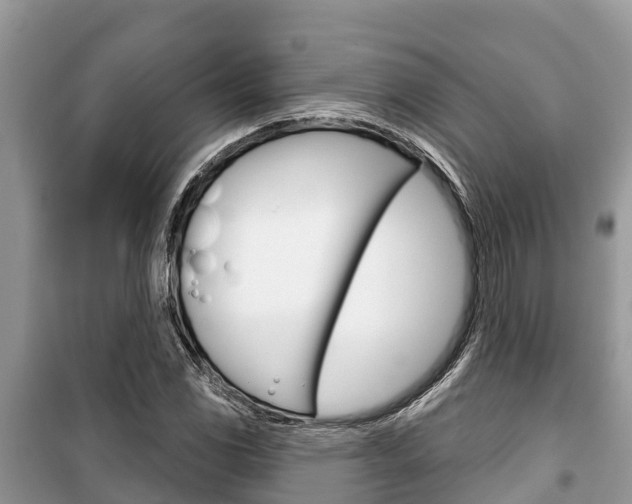 X0000100471117200806130748